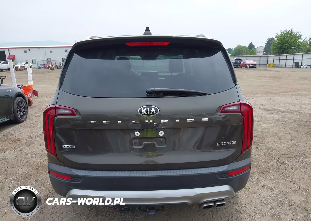 2021 Kia Telluride Ex VIN:5XYP3DHC7MG167757 - 17
