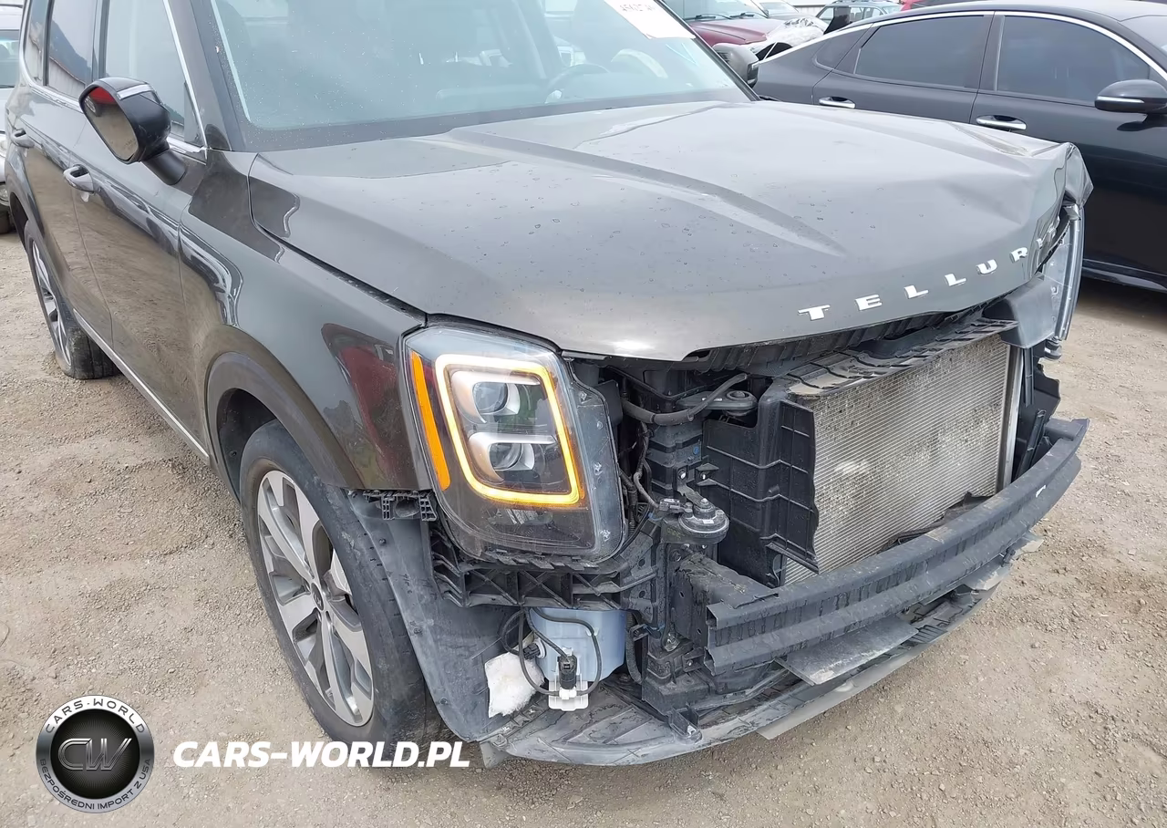 2021 Kia Telluride Ex VIN:5XYP3DHC7MG167757 - 18