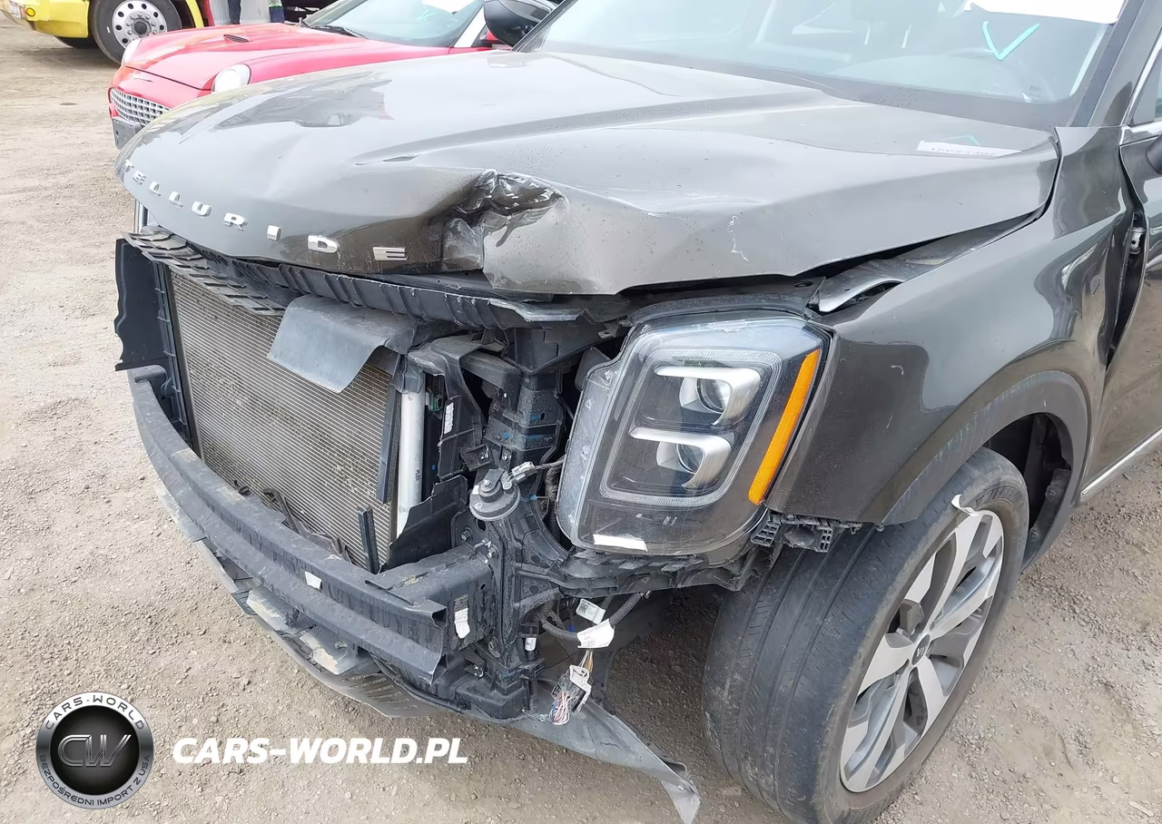 2021 Kia Telluride Ex VIN:5XYP3DHC7MG167757 - 19