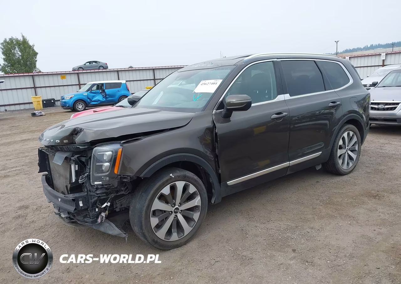 2021 Kia Telluride Ex VIN:5XYP3DHC7MG167757 - 2