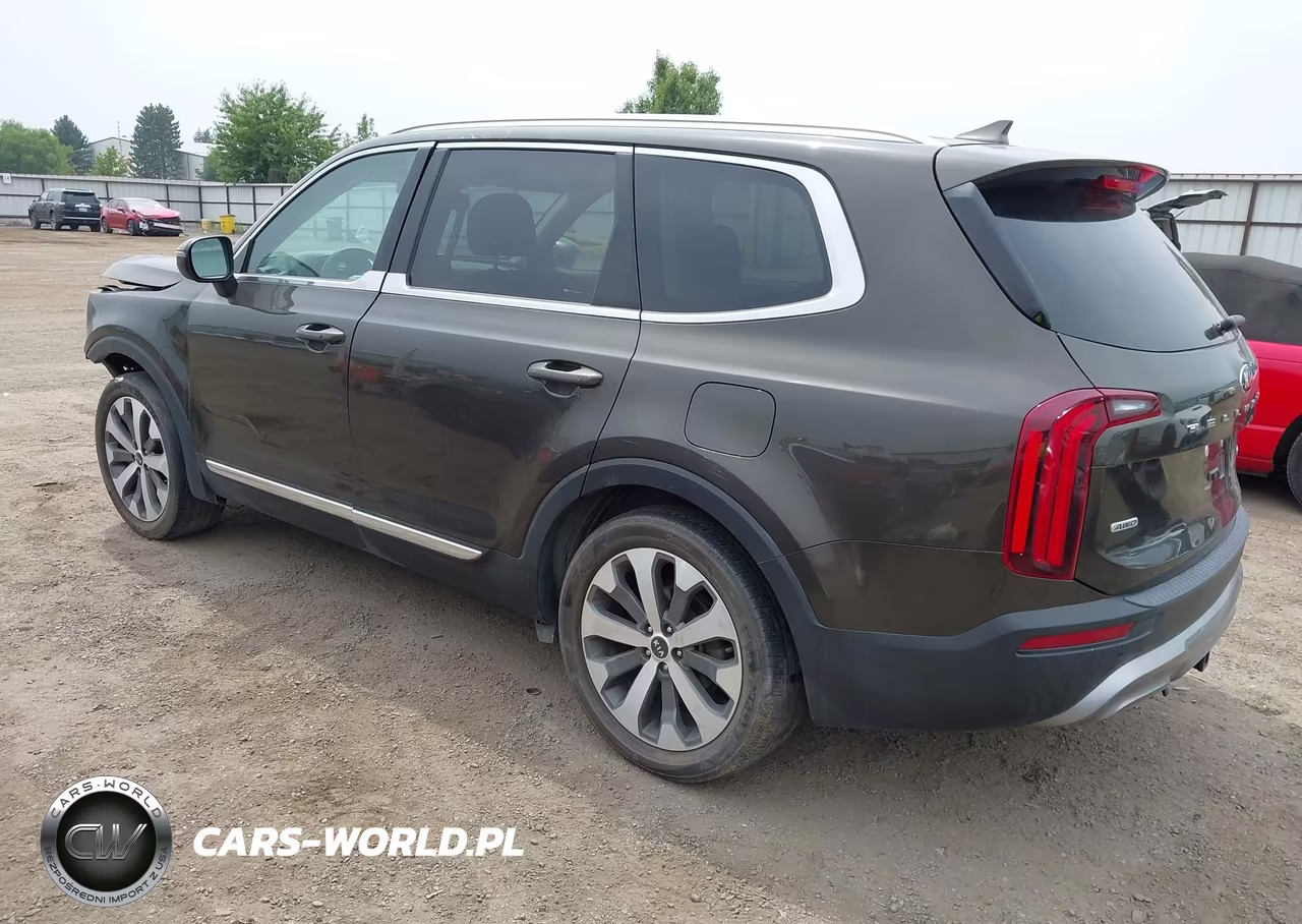 2021 Kia Telluride Ex VIN:5XYP3DHC7MG167757 - 3
