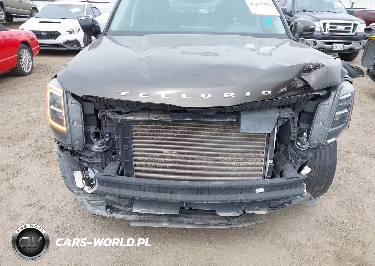 2021 Kia Telluride Ex VIN:5XYP3DHC7MG167757 - 6