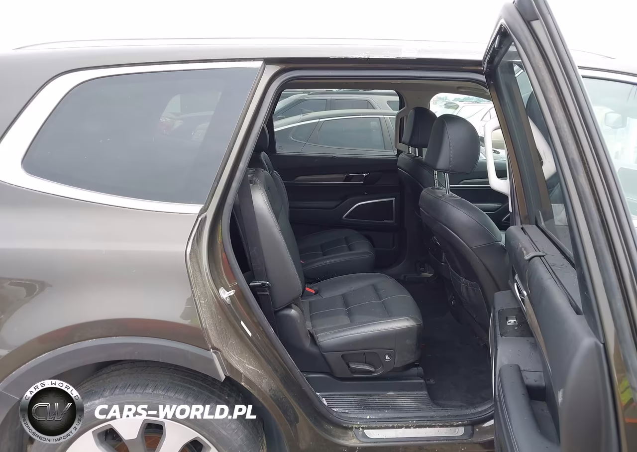2021 Kia Telluride Ex VIN:5XYP3DHC7MG167757 - 8