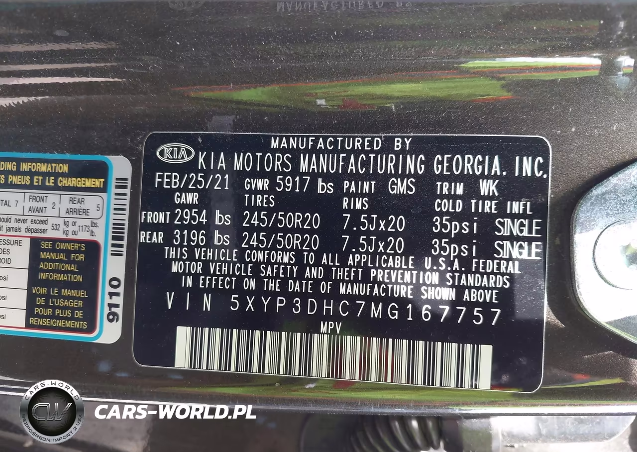 2021 Kia Telluride Ex VIN:5XYP3DHC7MG167757 - 9