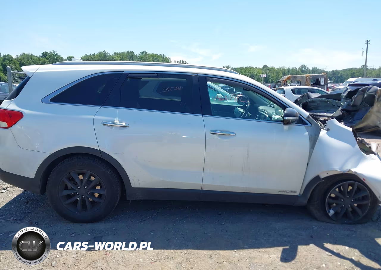 2017 Kia Sorento 3.3L Lx VIN:5XYPGDA55HG226942 - 13