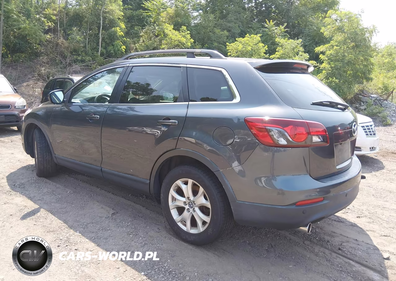 2013 Mazda Cx-9 Touring VIN:JM3TB2CV8D0424100 - 3