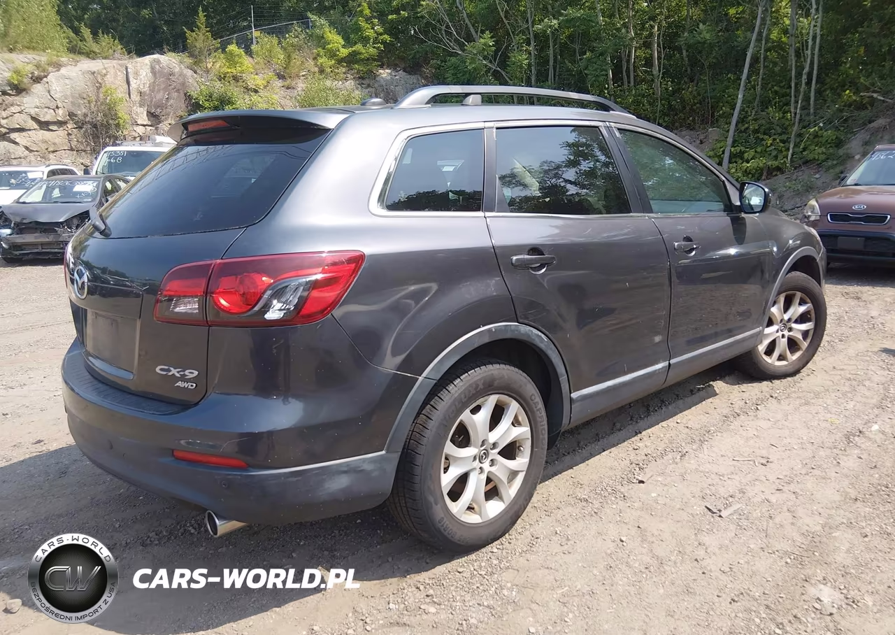 2013 Mazda Cx-9 Touring VIN:JM3TB2CV8D0424100 - 4