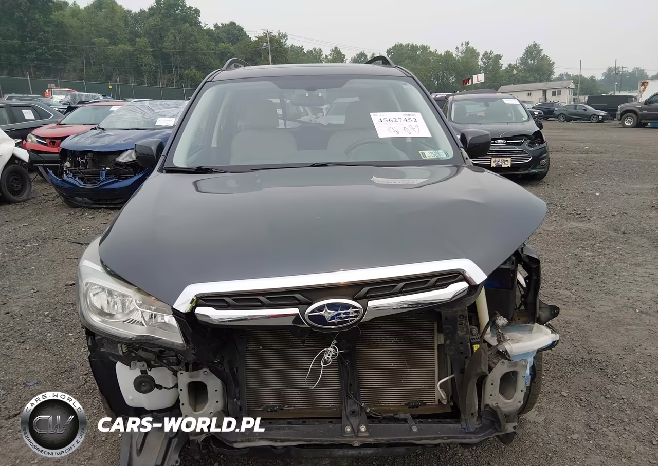 2018 Subaru Forester 2.5I Premium VIN:JF2SJAEC3JH543457 - 12