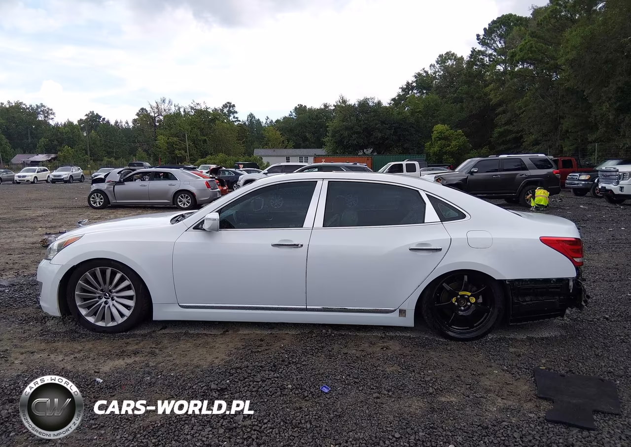 2015 Hyundai Equus Signature VIN:KMHGH4JH2FU100696 - 15