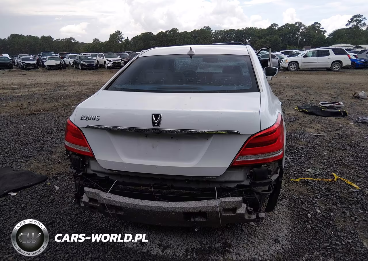 2015 Hyundai Equus Signature VIN:KMHGH4JH2FU100696 - 17