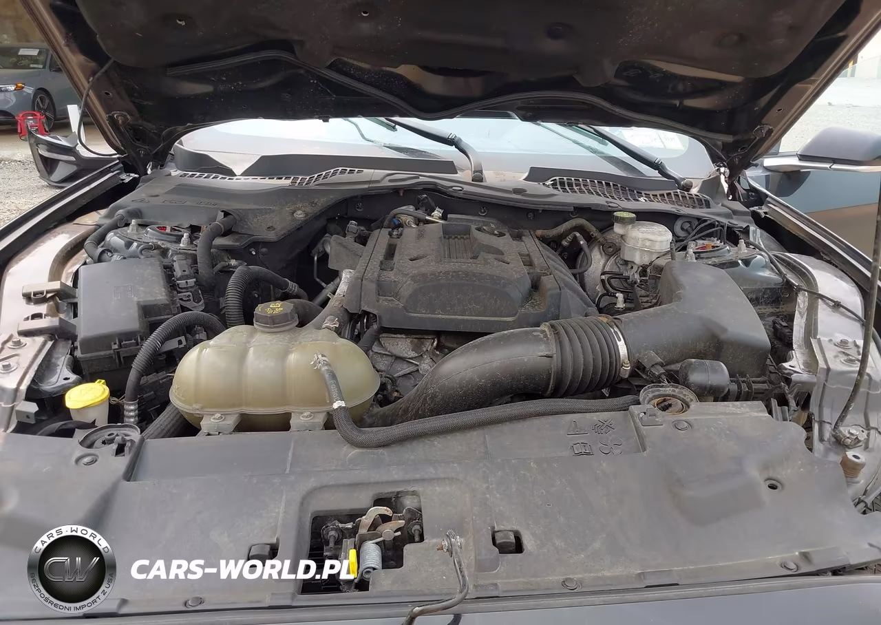 2019 Ford Mustang Ecoboost VIN:1FA6P8TH0K5124058 - 10