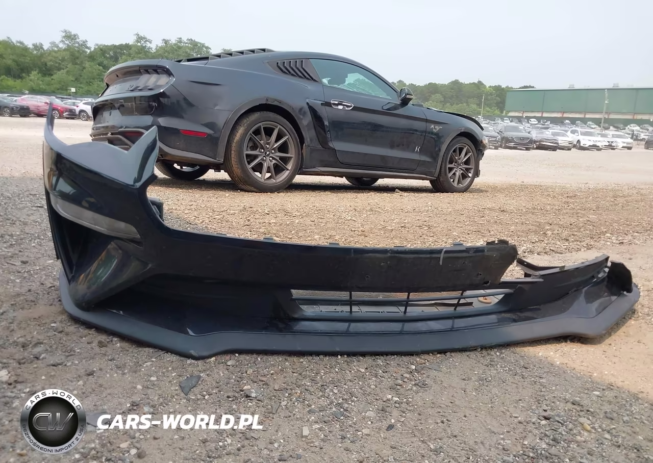 2019 Ford Mustang Ecoboost VIN:1FA6P8TH0K5124058 - 12