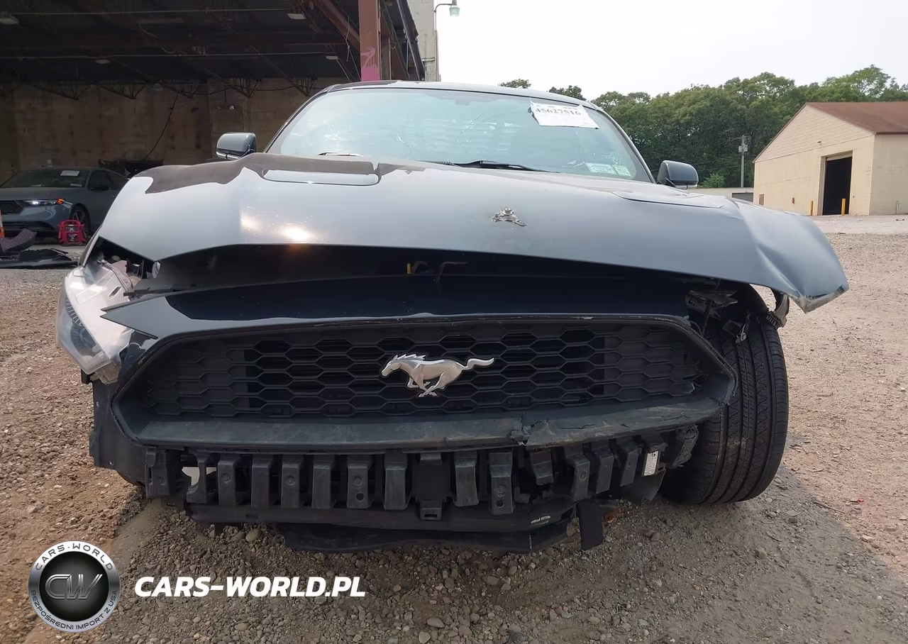 2019 Ford Mustang Ecoboost VIN:1FA6P8TH0K5124058 - 13