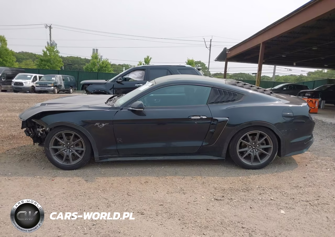 2019 Ford Mustang Ecoboost VIN:1FA6P8TH0K5124058 - 15