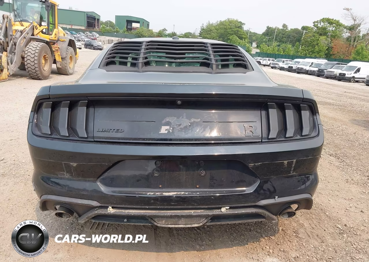 2019 Ford Mustang Ecoboost VIN:1FA6P8TH0K5124058 - 17