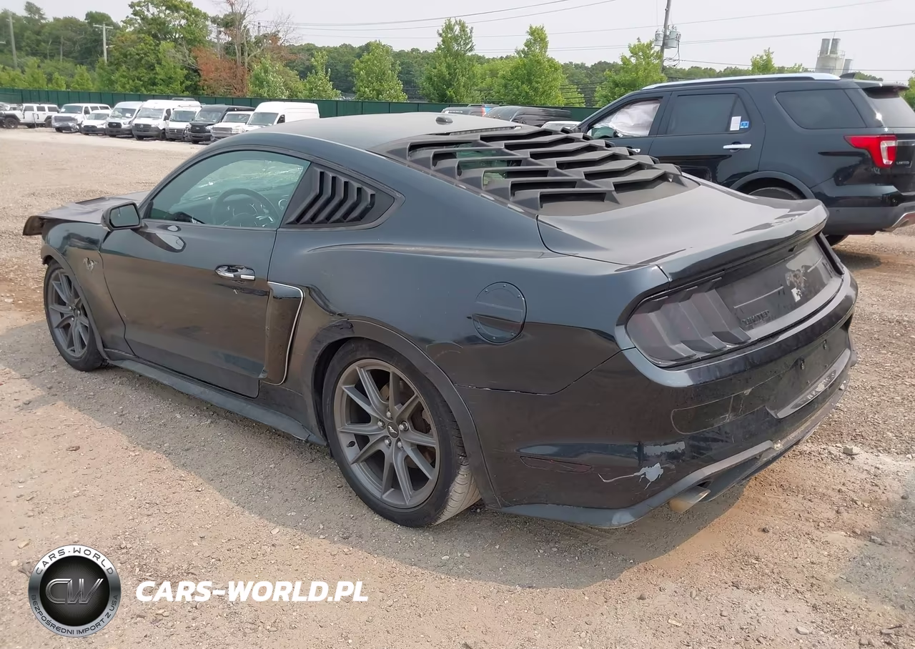 2019 Ford Mustang Ecoboost VIN:1FA6P8TH0K5124058 - 3