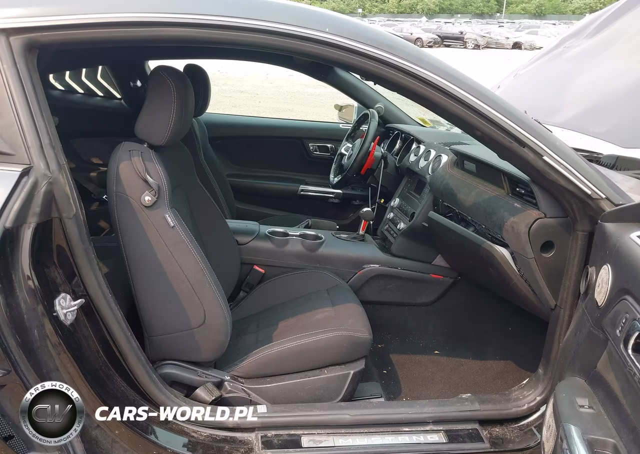2019 Ford Mustang Ecoboost VIN:1FA6P8TH0K5124058 - 5