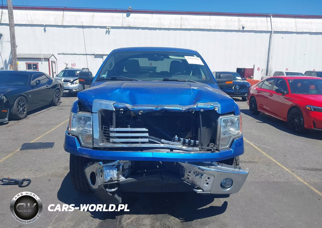 2010 Ford F-150 Stx-Xl-Xlt VIN:1FTEX1E83AKE26809 - 12