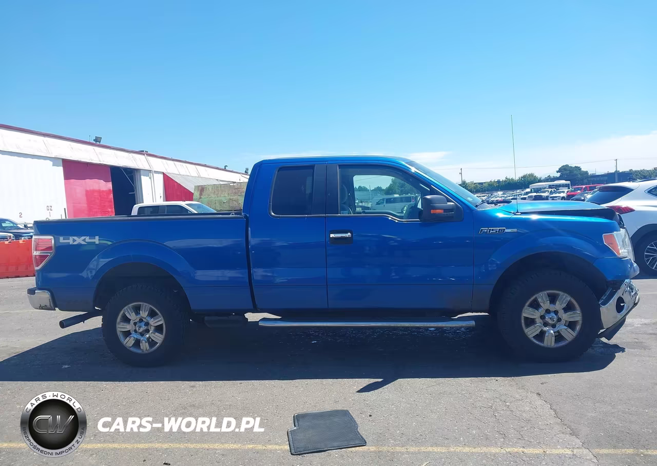 2010 Ford F-150 Stx-Xl-Xlt VIN:1FTEX1E83AKE26809 - 13