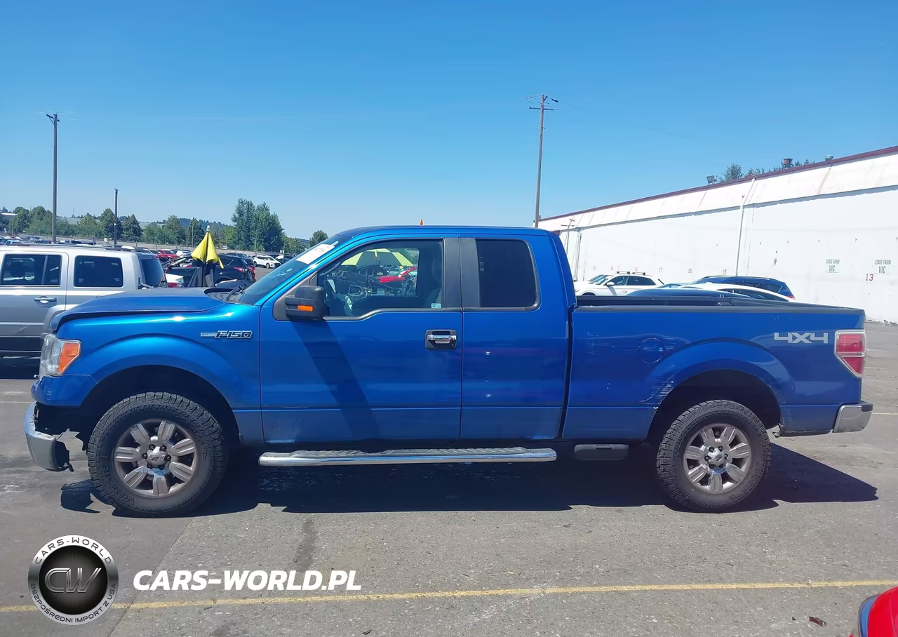 2010 Ford F-150 Stx-Xl-Xlt VIN:1FTEX1E83AKE26809 - 14