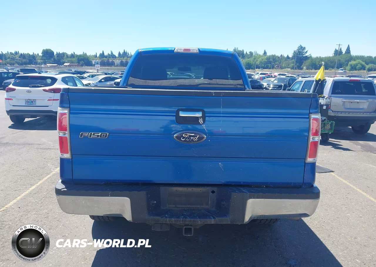 2010 Ford F-150 Stx-Xl-Xlt VIN:1FTEX1E83AKE26809 - 16
