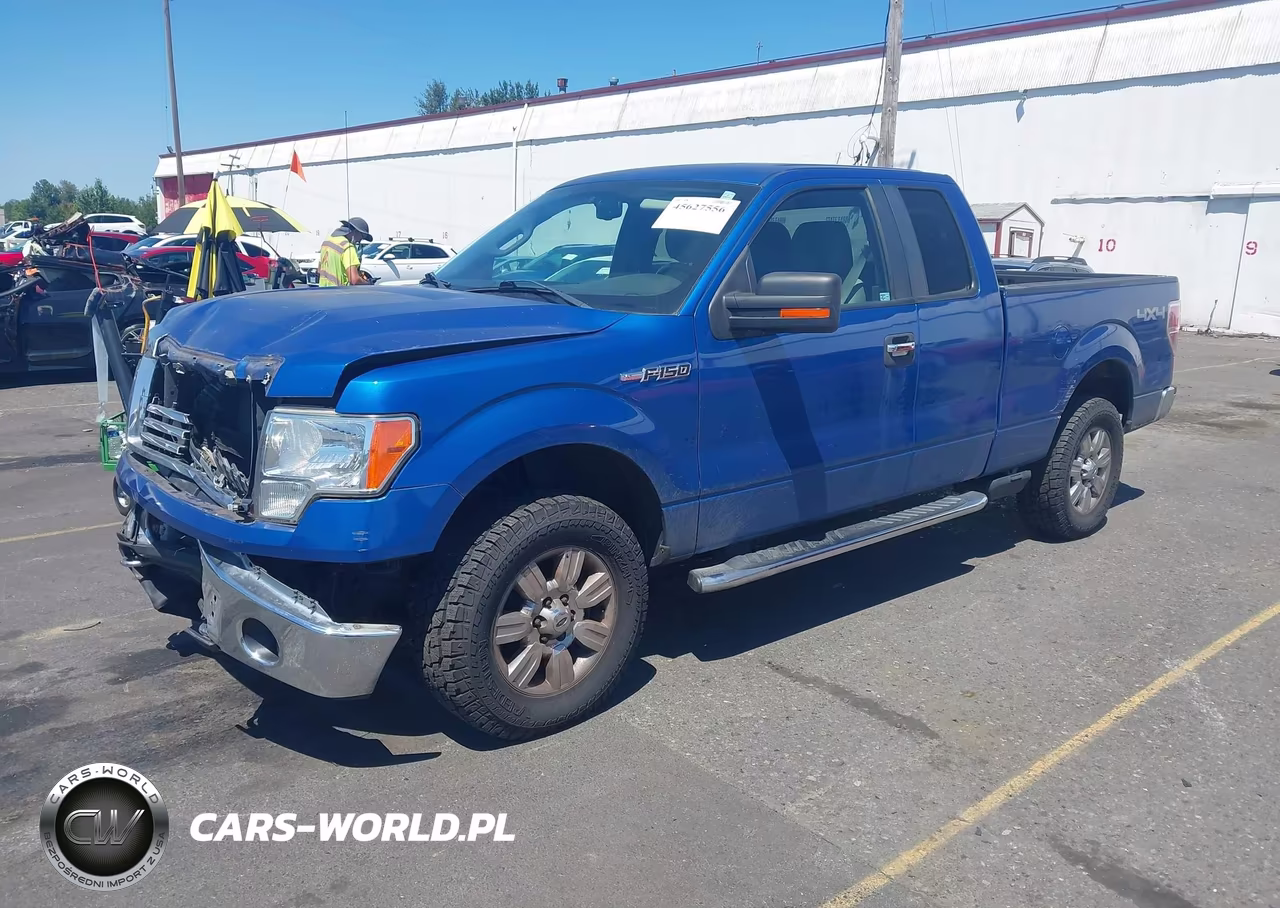2010 Ford F-150 Stx-Xl-Xlt VIN:1FTEX1E83AKE26809 - 2