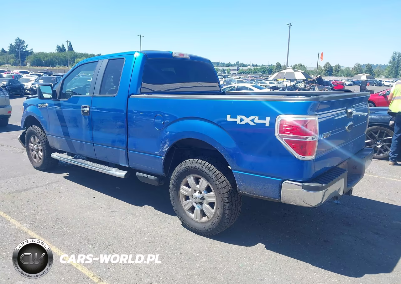2010 Ford F-150 Stx-Xl-Xlt VIN:1FTEX1E83AKE26809 - 3