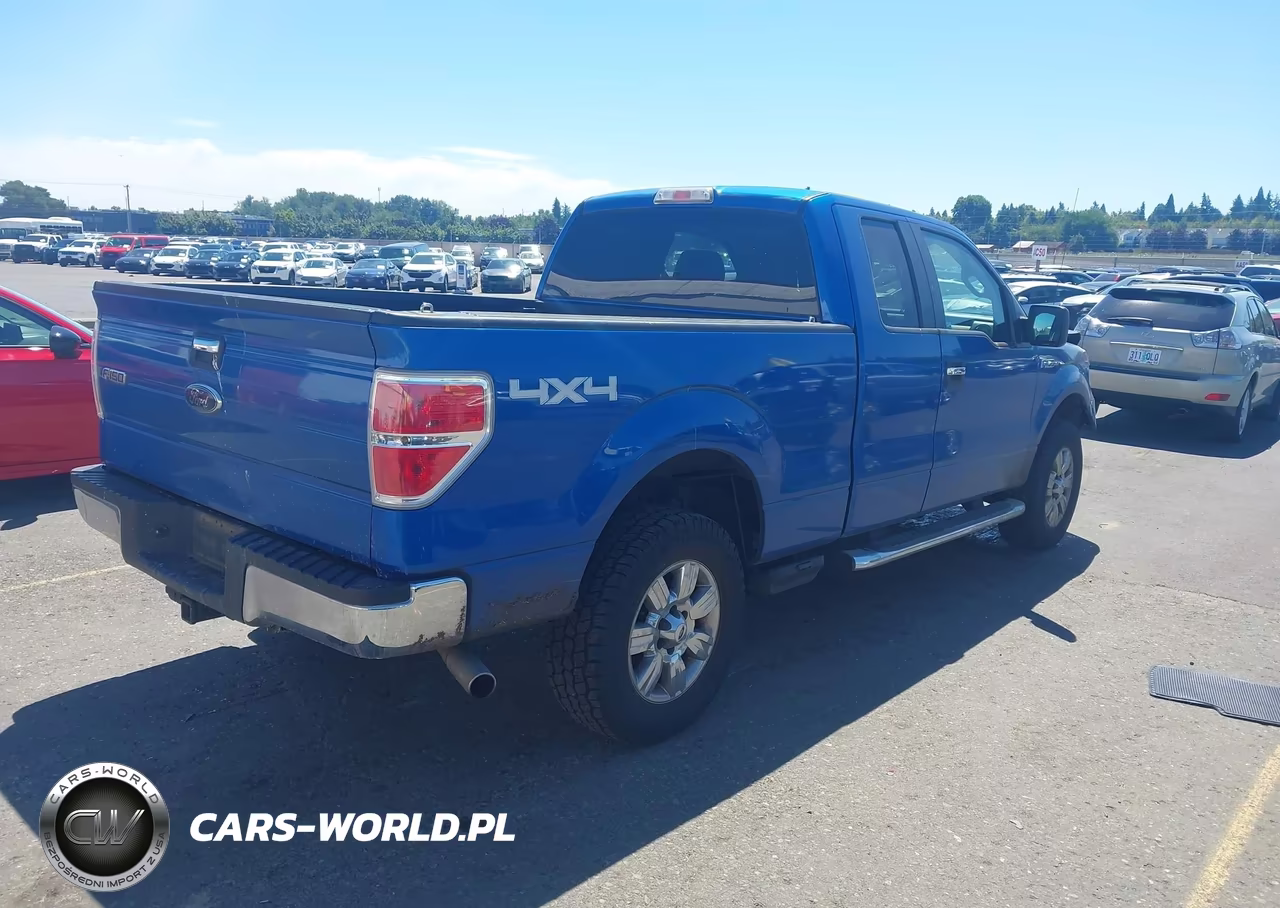 2010 Ford F-150 Stx-Xl-Xlt VIN:1FTEX1E83AKE26809 - 4