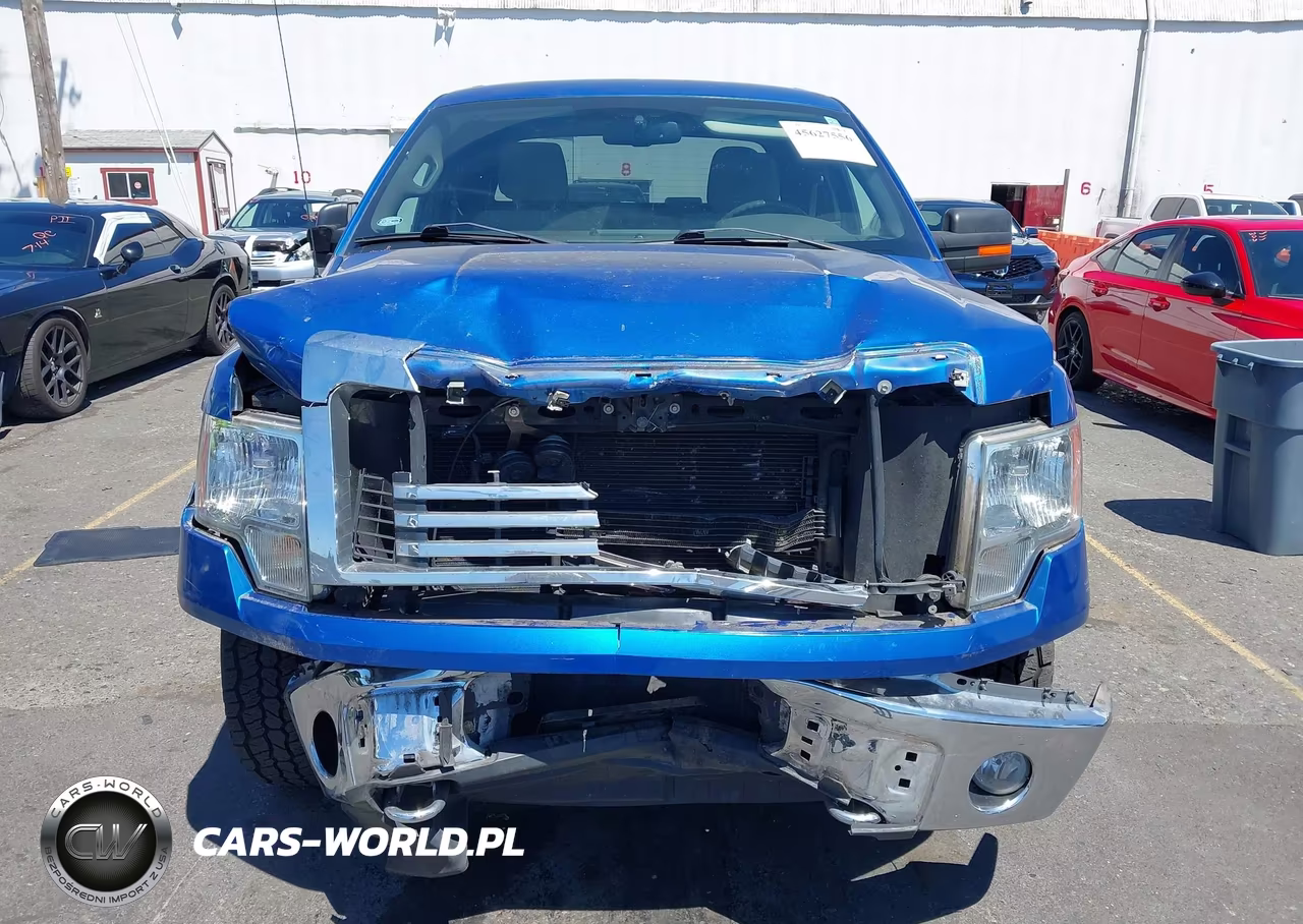 2010 Ford F-150 Stx-Xl-Xlt VIN:1FTEX1E83AKE26809 - 6