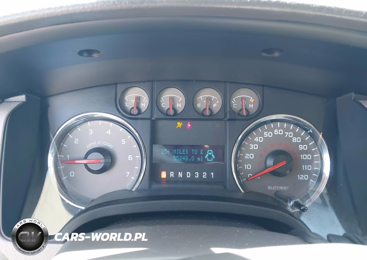 2010 Ford F-150 Stx-Xl-Xlt VIN:1FTEX1E83AKE26809 - 7