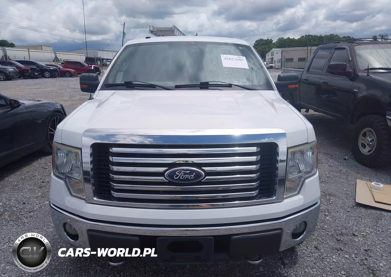 2010 Ford F-150 Fx4-Harley-Davidson-King Ranch-Lariat-Platinum-Xl-Xlt VIN:1FTFW1EV6AFA69132 - 12