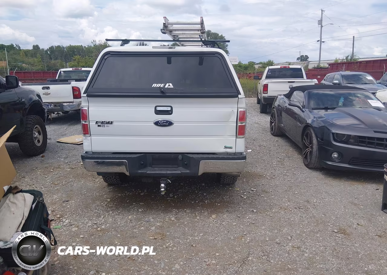 2010 Ford F-150 Fx4-Harley-Davidson-King Ranch-Lariat-Platinum-Xl-Xlt VIN:1FTFW1EV6AFA69132 - 16