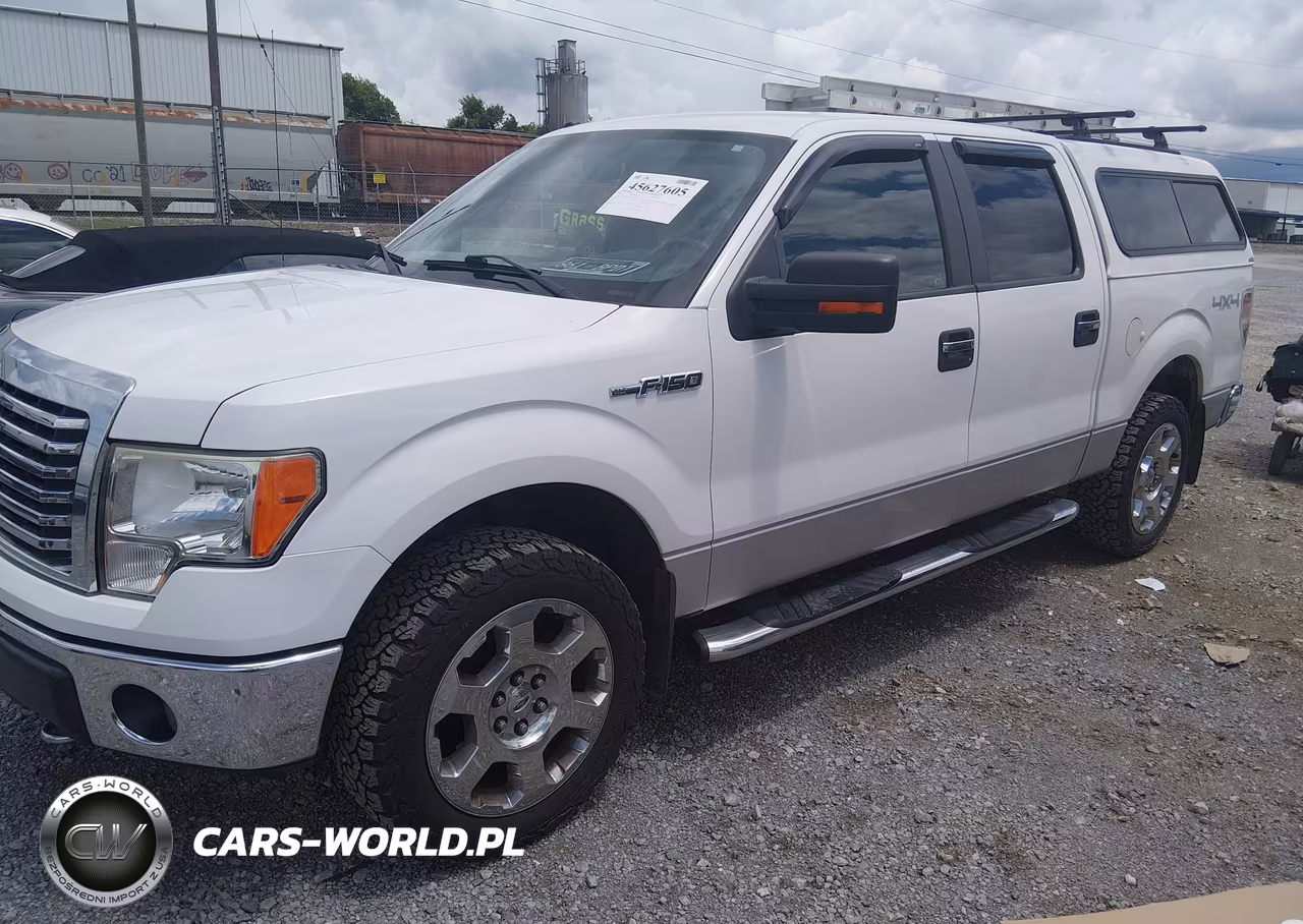 2010 Ford F-150 Fx4-Harley-Davidson-King Ranch-Lariat-Platinum-Xl-Xlt VIN:1FTFW1EV6AFA69132 - 2