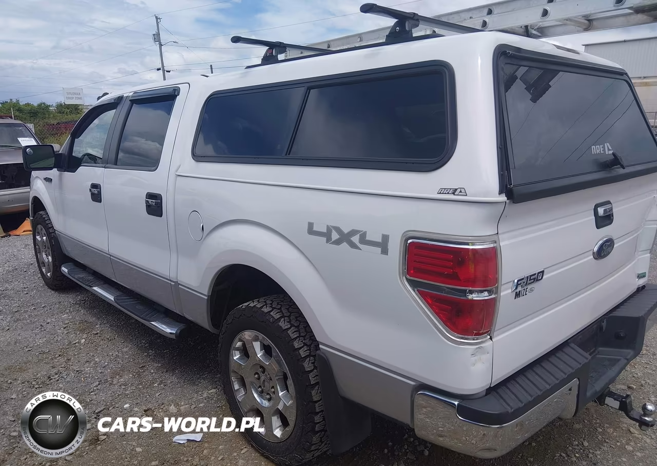 2010 Ford F-150 Fx4-Harley-Davidson-King Ranch-Lariat-Platinum-Xl-Xlt VIN:1FTFW1EV6AFA69132 - 3