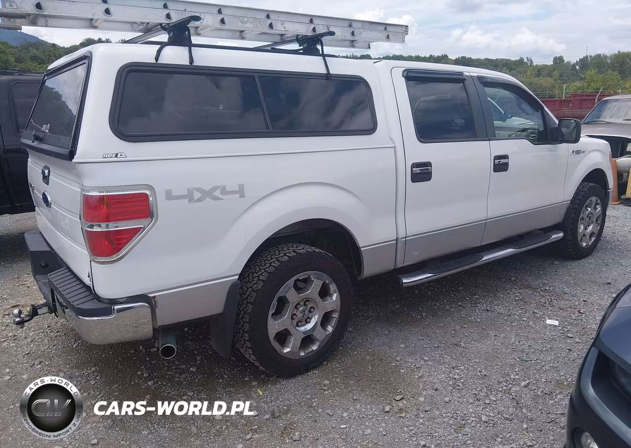 2010 Ford F-150 Fx4-Harley-Davidson-King Ranch-Lariat-Platinum-Xl-Xlt VIN:1FTFW1EV6AFA69132 - 4