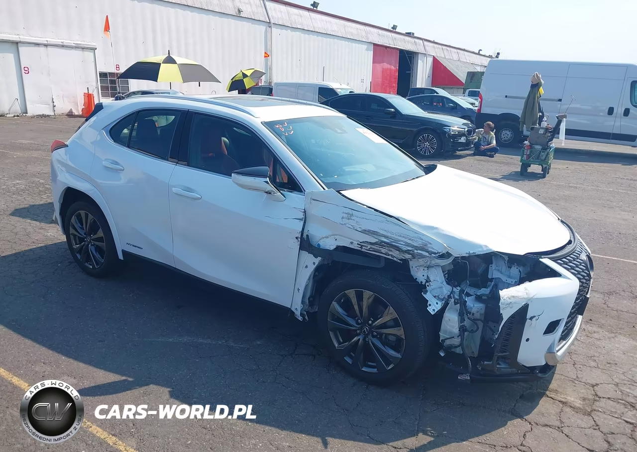 2021 Lexus Ux 250H F Sport