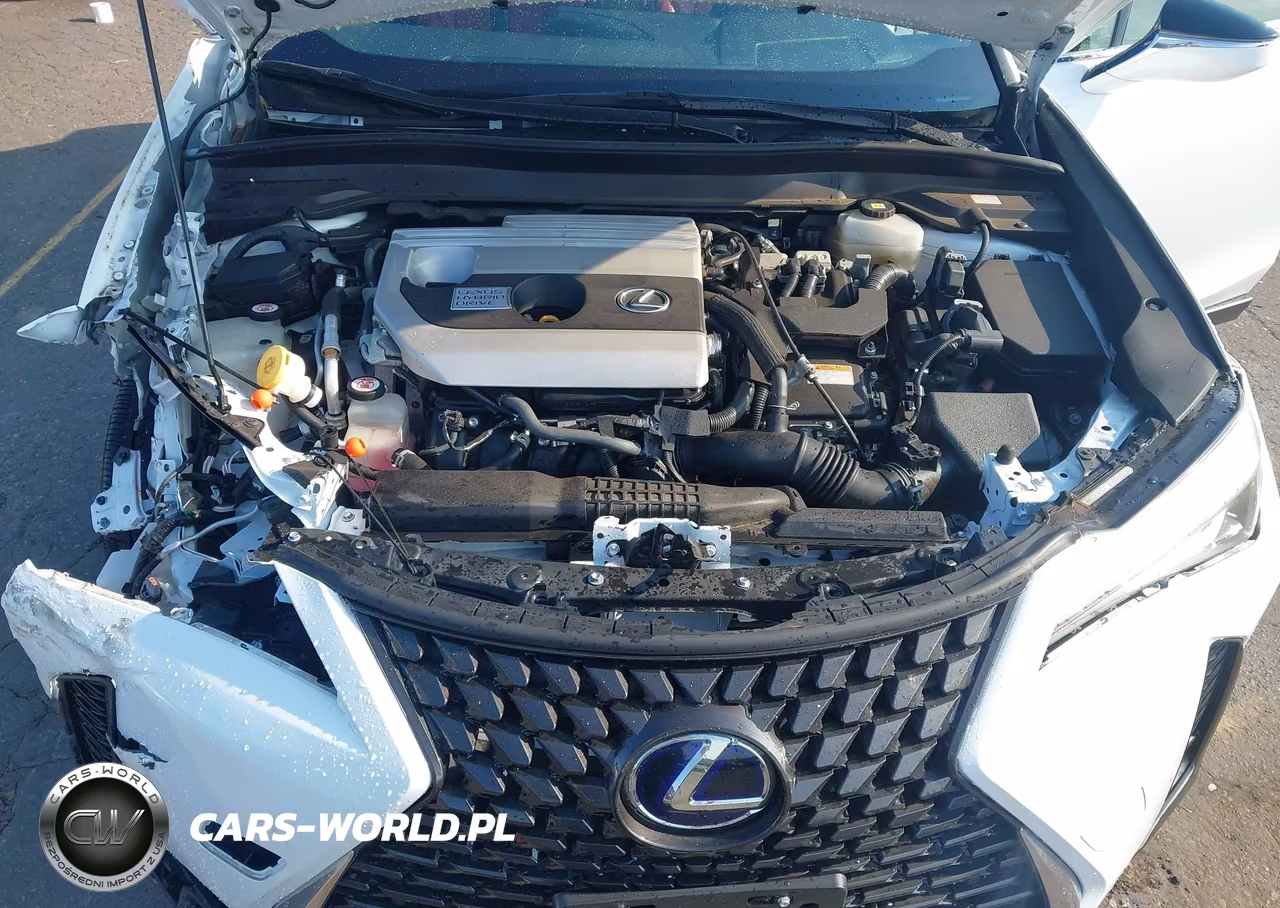 2021 Lexus Ux 250H F Sport VIN:JTHR9JBH0M2045177 - 10