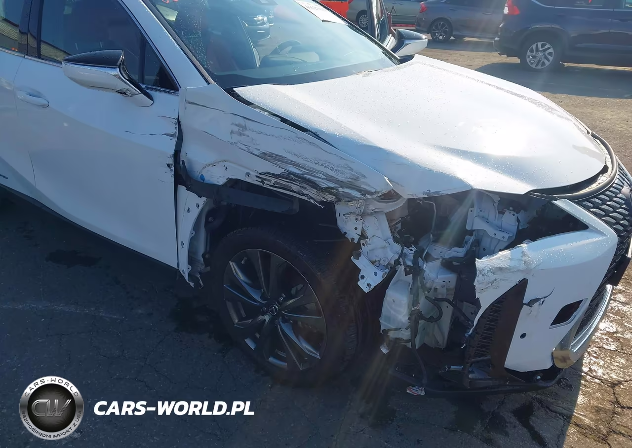2021 Lexus Ux 250H F Sport VIN:JTHR9JBH0M2045177 - 6