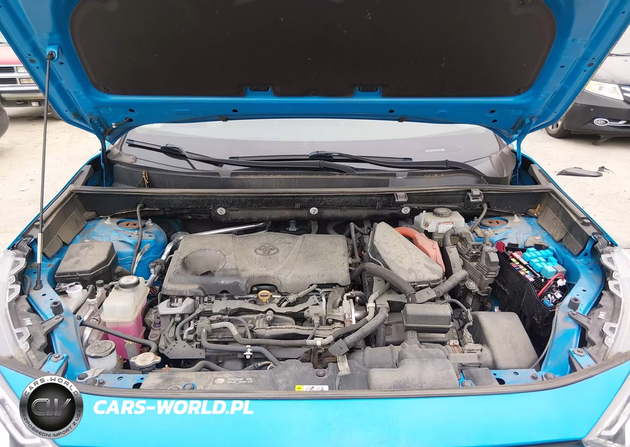 2019 Toyota Rav4 Hybrid Xle VIN:2T3RWRFV0KW030949 - 10