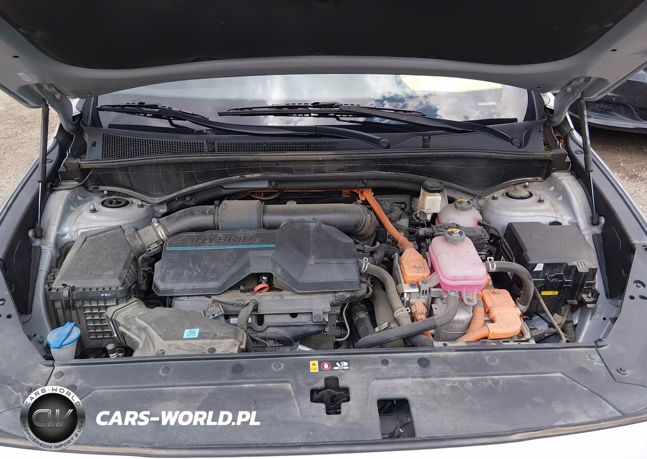 2022 Hyundai Santa Fe Hybrid Sel Premium VIN:KM8S3DA1XNU055498 - 10