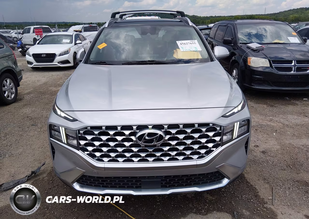 2022 Hyundai Santa Fe Hybrid Sel Premium VIN:KM8S3DA1XNU055498 - 12