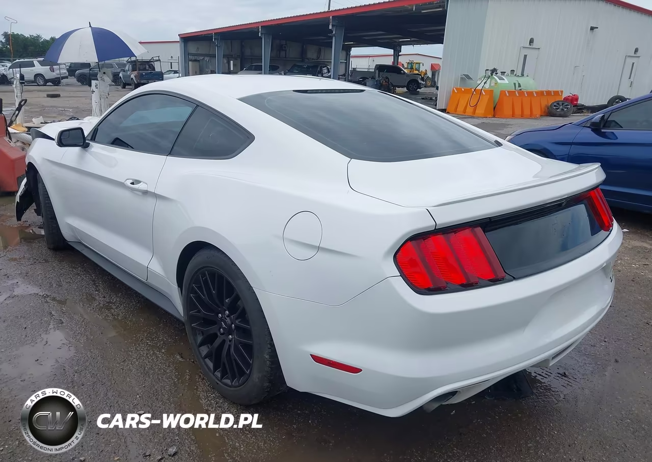 2016 Ford Mustang V6 VIN:1FA6P8AM6G5296098 - 3