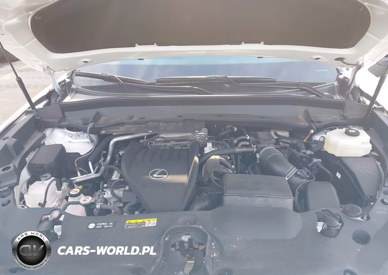 2025 Lexus Tx 500H VIN:5TDABAB69SS007972 - 10