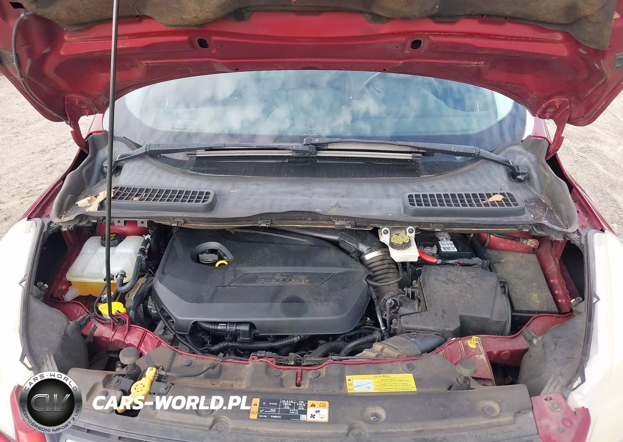 2014 Ford Escape Se VIN:1FMCU0GX5EUB55837 - 10