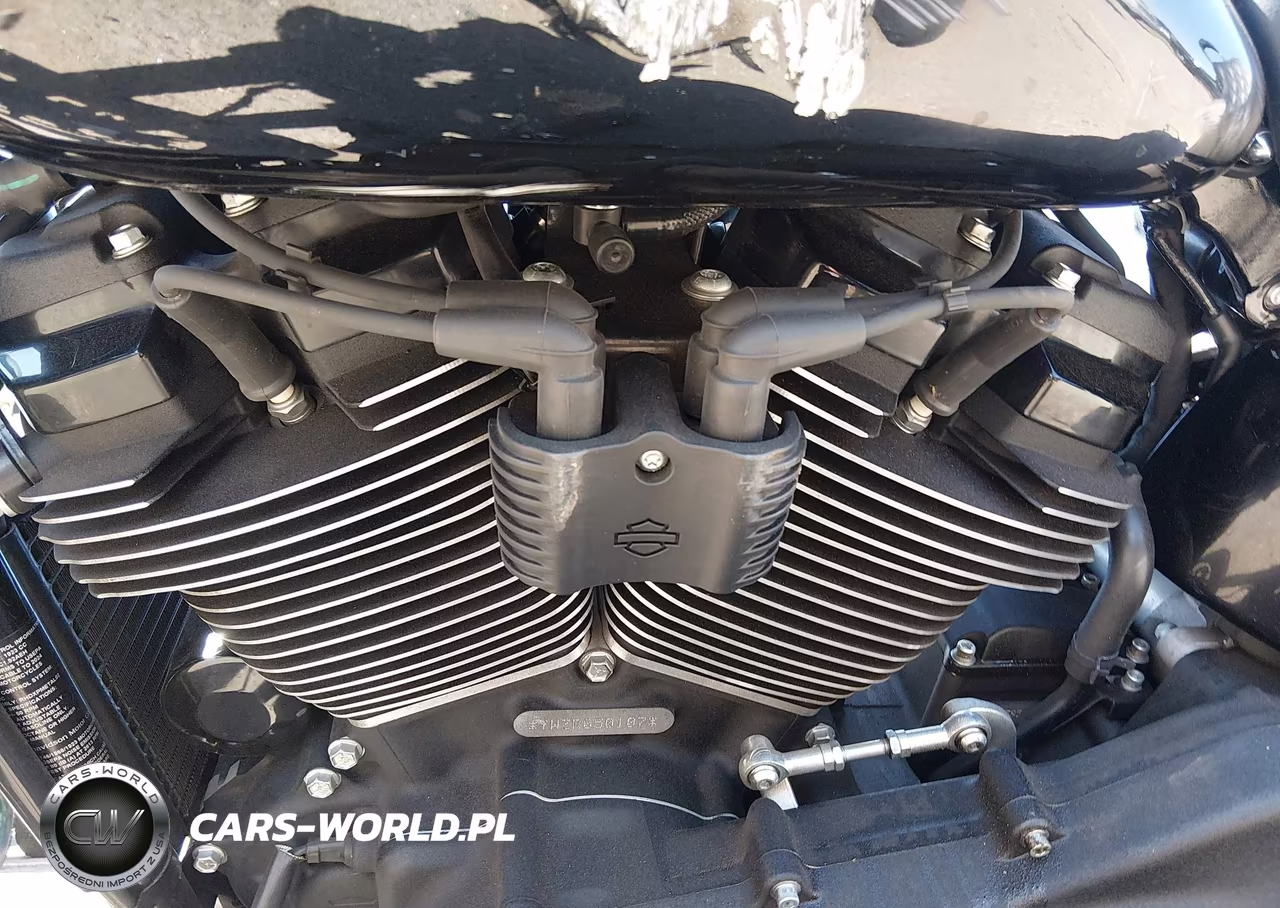 2024 Harley-Davidson Fxlrs VIN:1HD1YWZ18RB050107 - 9