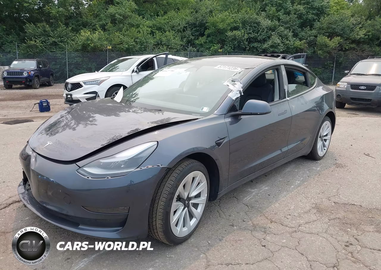 2023 Tesla Model 3 Rear-Wheel Drive VIN:5YJ3E1EA8PF436323 - 2