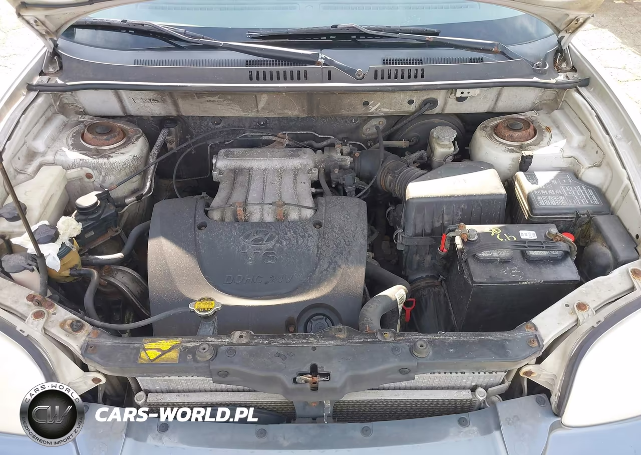 2001 Hyundai Santa Fe 2.7L V6 Gls-2.7L V6 Lx VIN:KM8SC83D91U010397 - 10