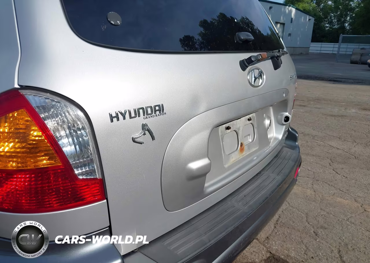 2001 Hyundai Santa Fe 2.7L V6 Gls-2.7L V6 Lx VIN:KM8SC83D91U010397 - 12