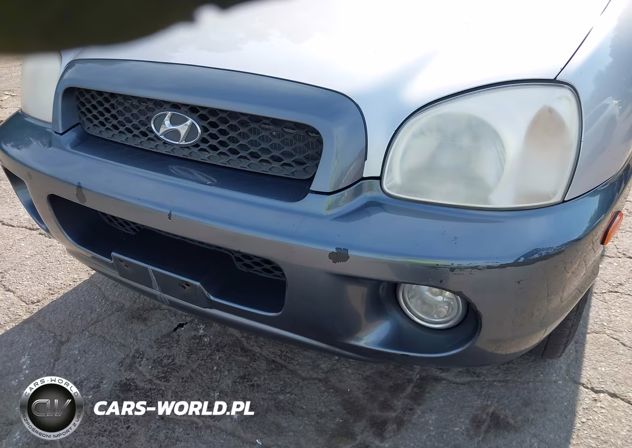 2001 Hyundai Santa Fe 2.7L V6 Gls-2.7L V6 Lx VIN:KM8SC83D91U010397 - 15