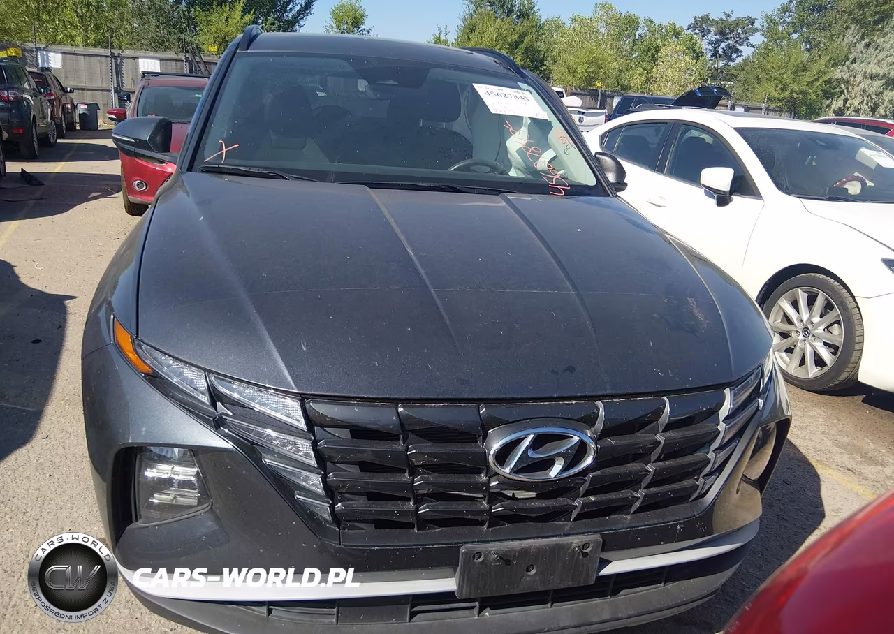2024 Hyundai Tucson Sel VIN:5NMJFCDE7RH296397 - 13